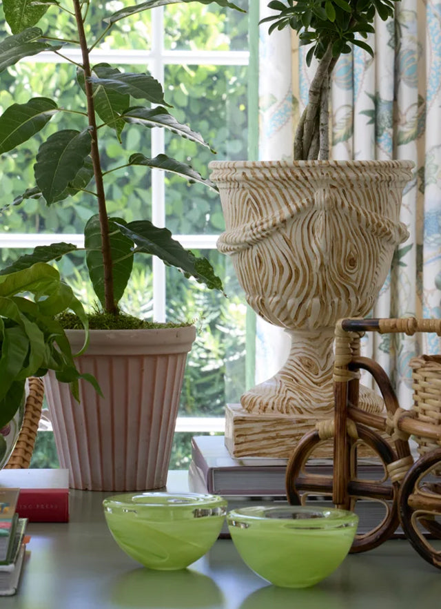 Carved urn, potted fig tree and green glass bowls on a table by a sunny window