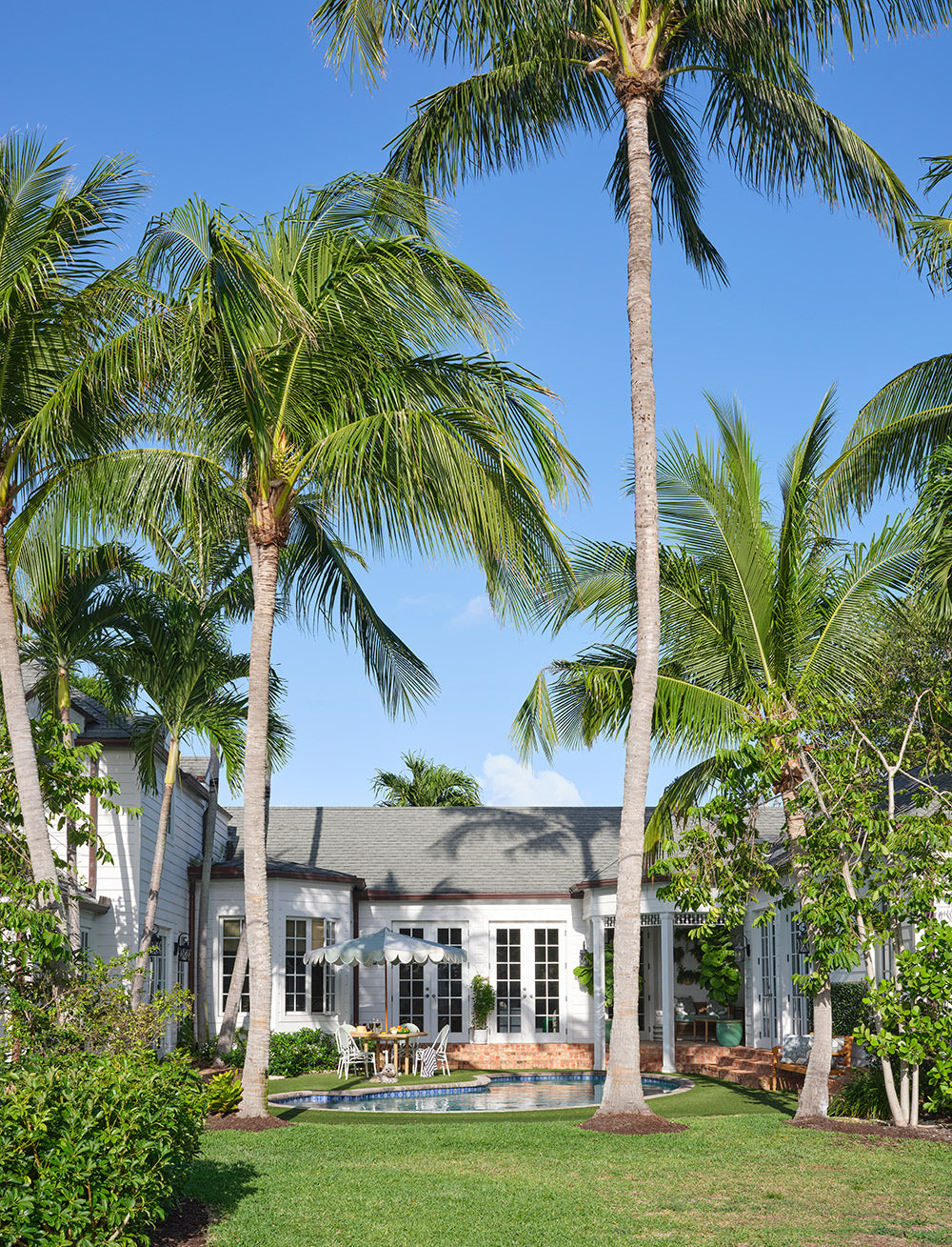 Tall palm trees in the garden behind the house