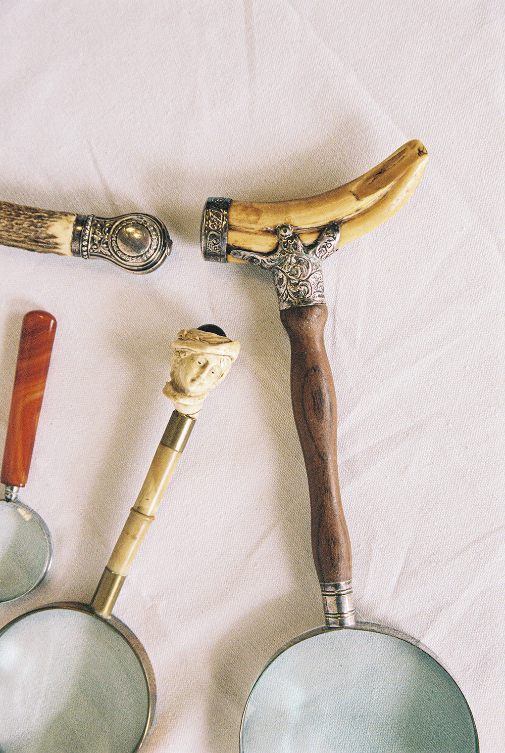 Five magnifying glasses with carved bone, hardwood and decorative metal handles, upright