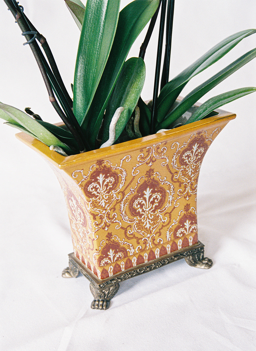 Ceramic cachepot with an ochre damask motif on an antiqued metal footed base, planted with an orchid, from the side