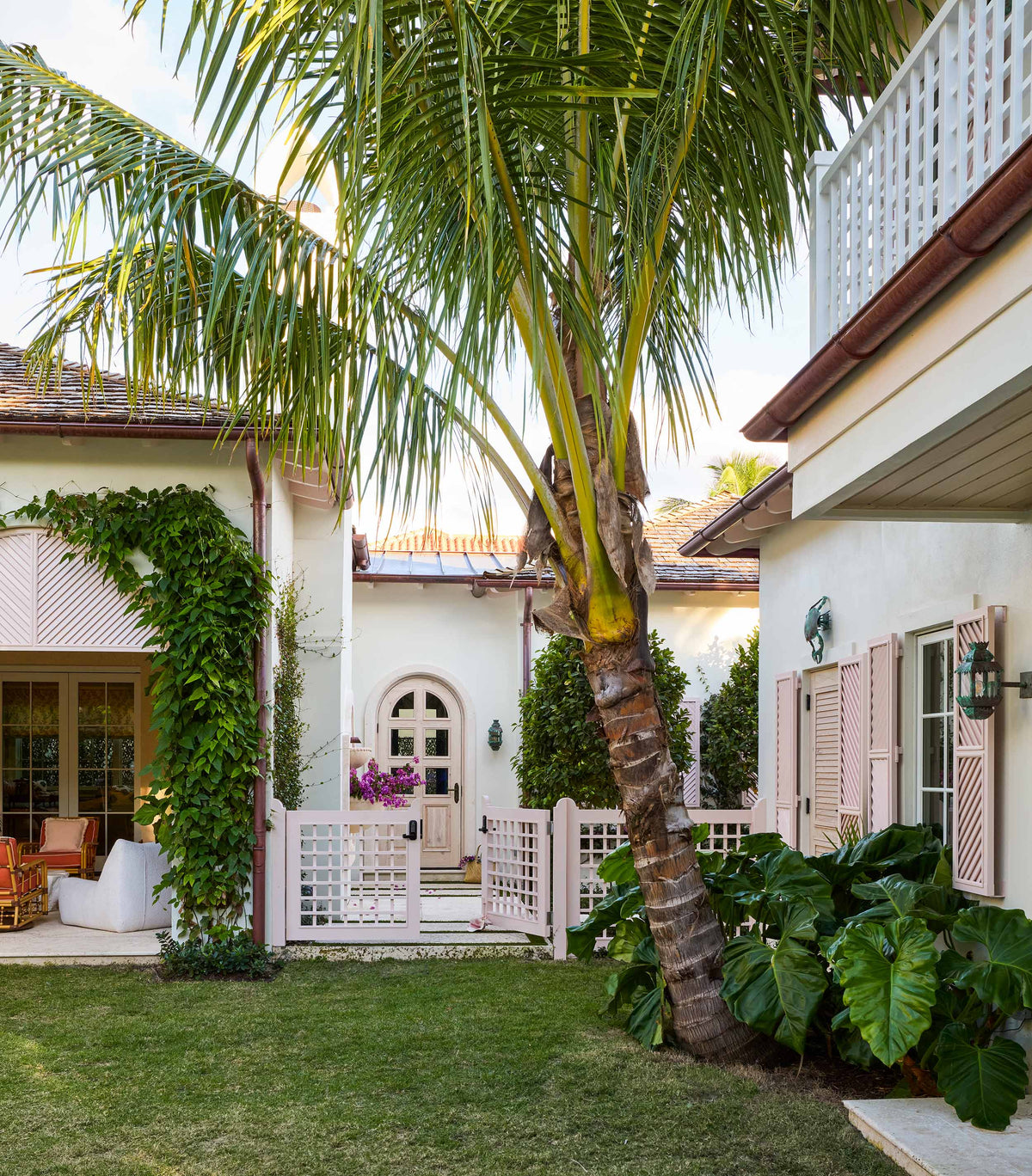 Pink house with a vine covered wall, lattice screens and a palm on the lawn
